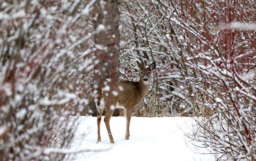 minnesota field trip ideas