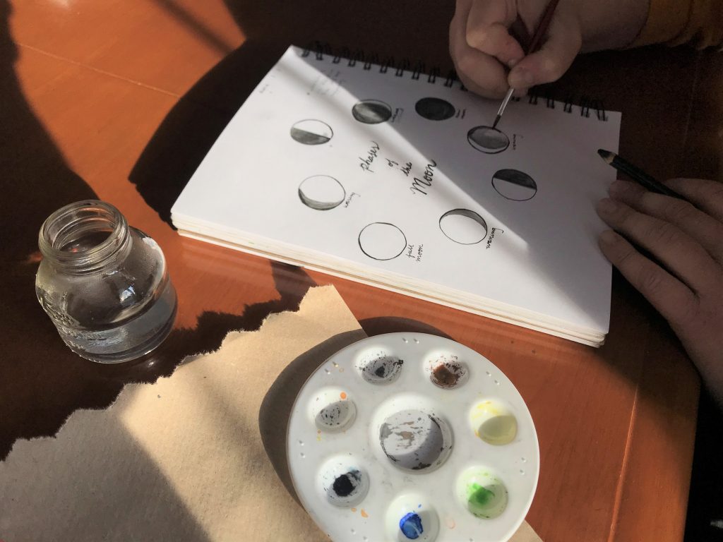 Dodge Nature Center Naturalist Fellow Rachel Vortherms paints the phases of the moon in her nature journal.