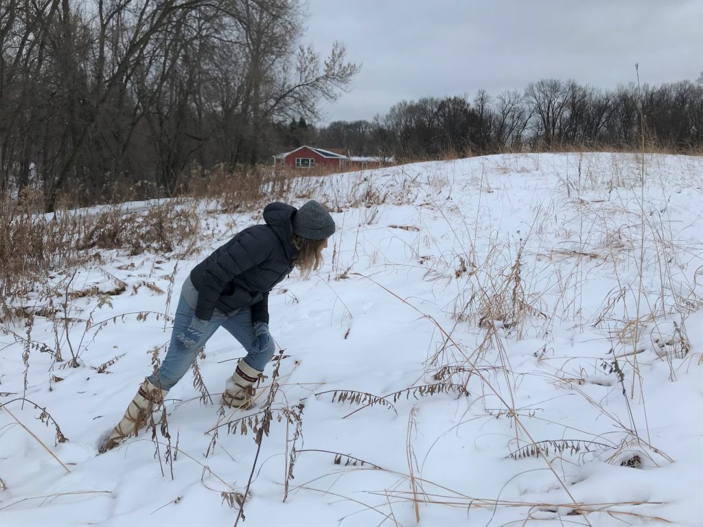 Dodge Nature Center Naturalist Fellow Siri Block inspects the snow-covered prairie for mammal tracks.