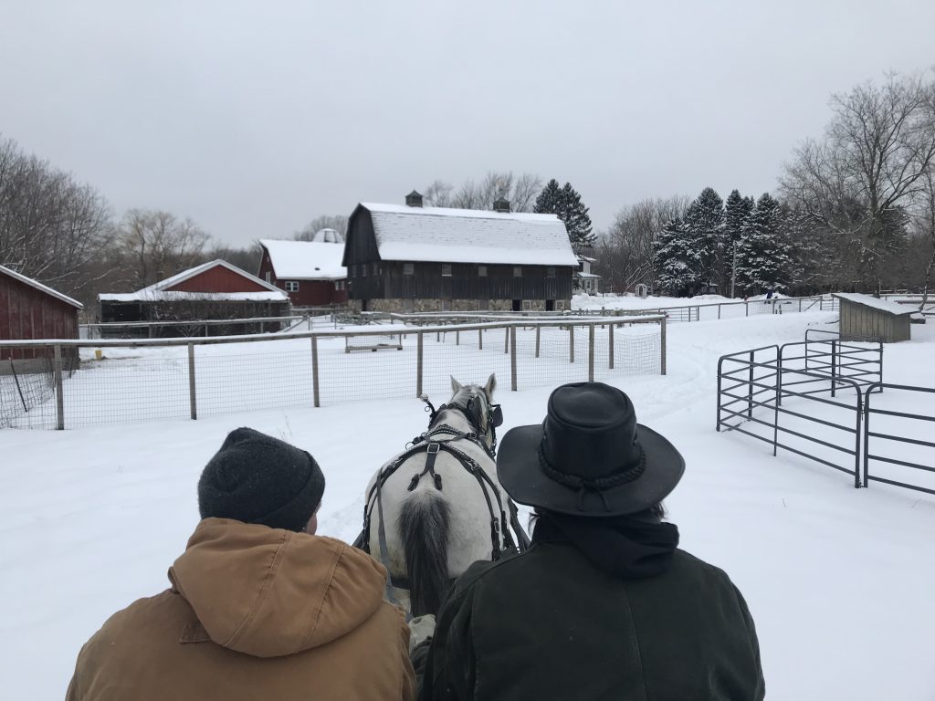 Dodge Nature Center Volunteer and Board Member Alan Johnston and Farmer Don train Terry for sleigh rides.