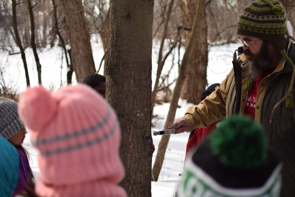 Dodge Nature Center Naturalist Mick Garrett demonstrates tapping a tree for sap collection while students observe.