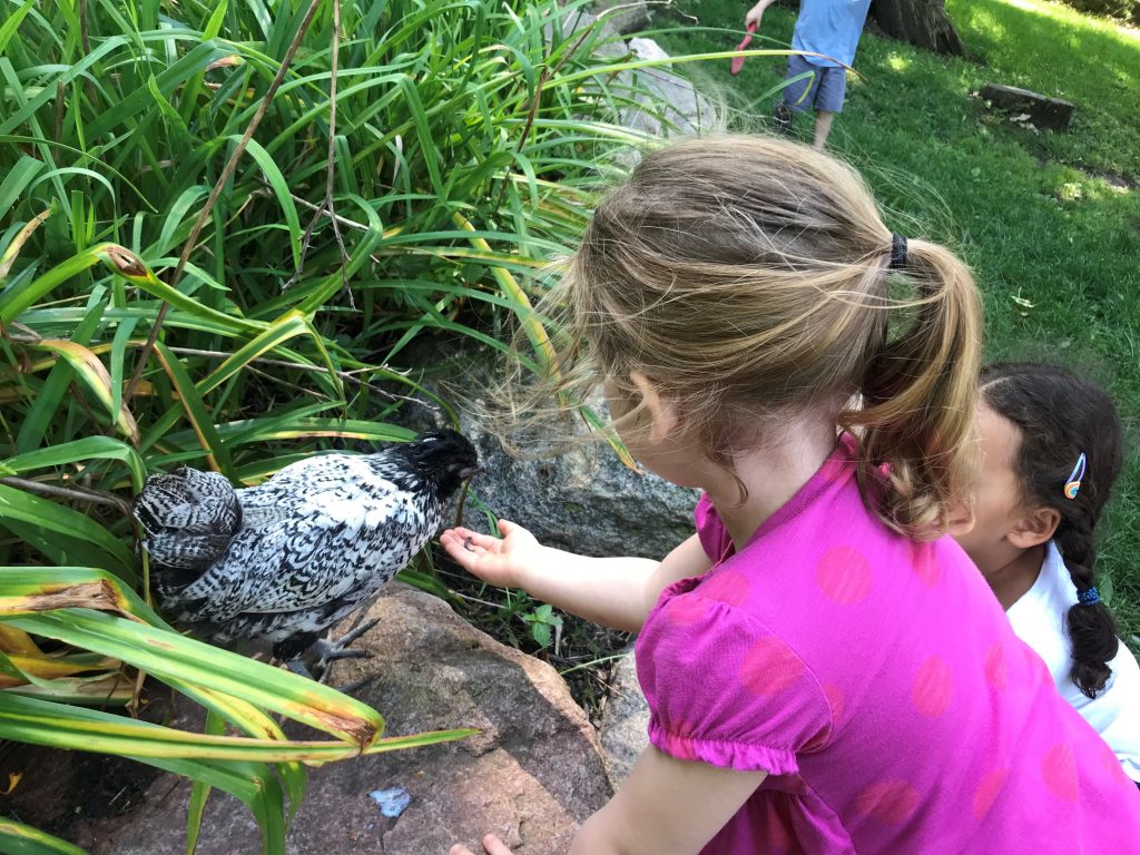 A few Dodge Nature Center preschoolers offer Eddie a snack in the schoolyard.