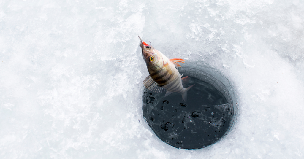 Learn to ice fish at January workshop