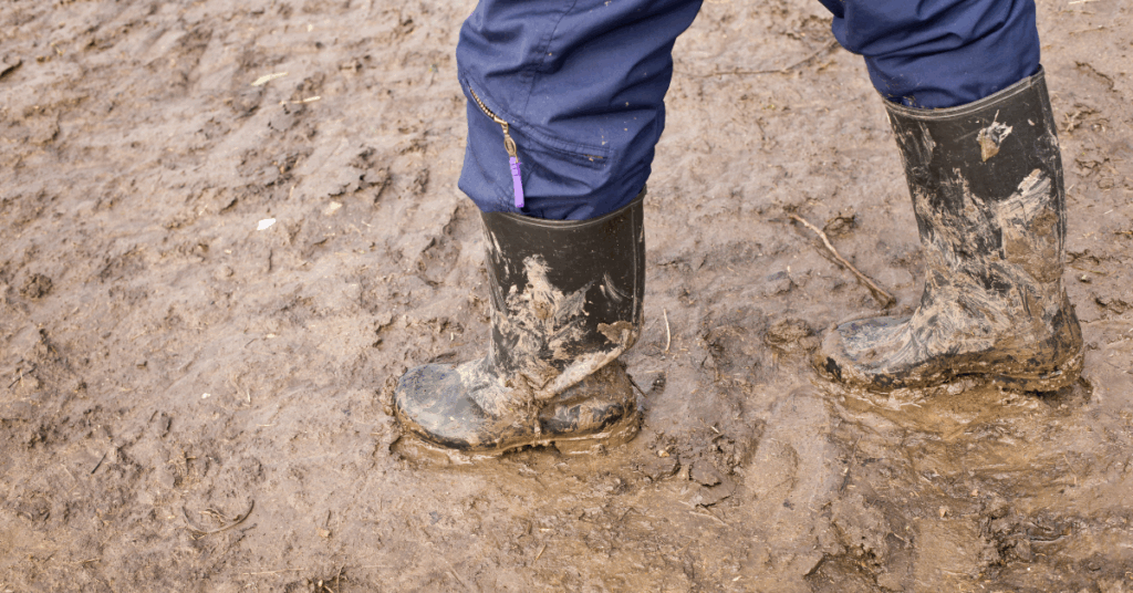 Spring Break Camp 2026 (Grades K-2): Roots and Boots Dodge Nature Center