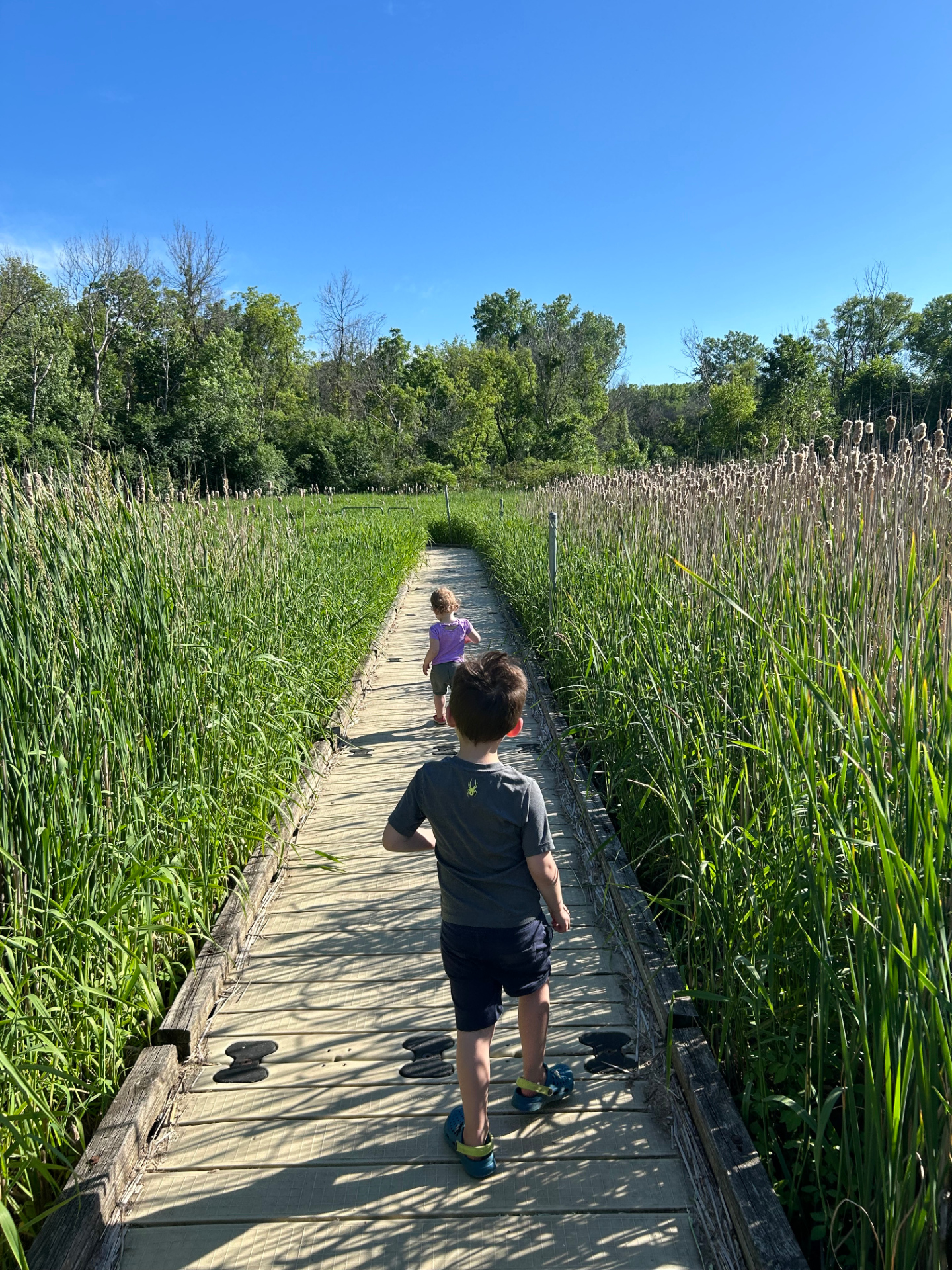 Discover Dodge Nature Center Open House
