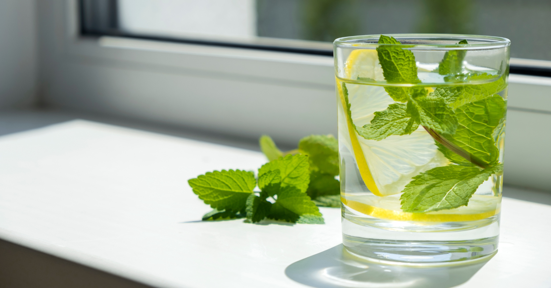 Wild Cocktails (Cottage Grove)