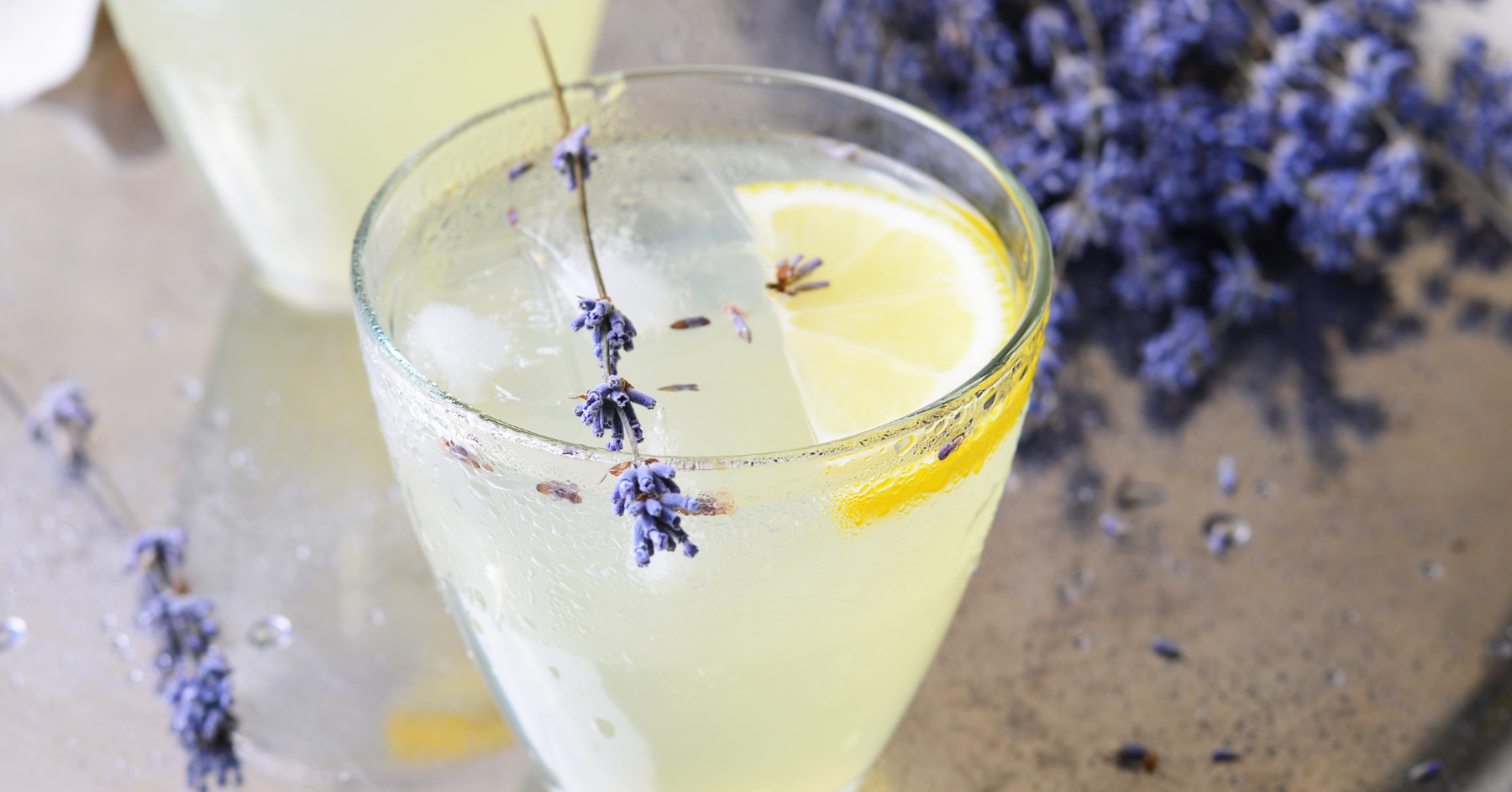 Wild Cocktails (West St. Paul)