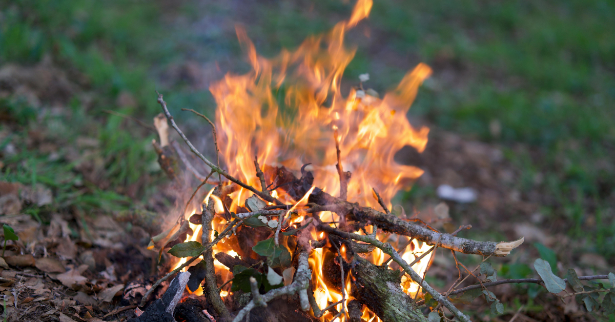 Fire Building Basics (West St. Paul)