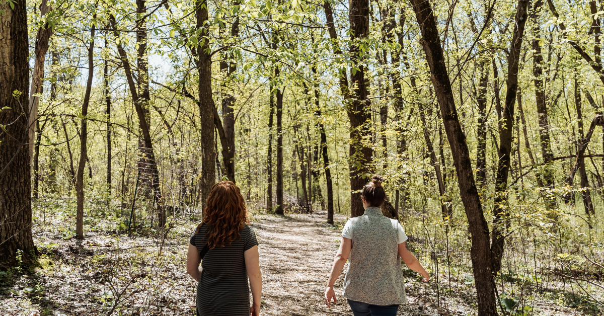 Forest Bathing